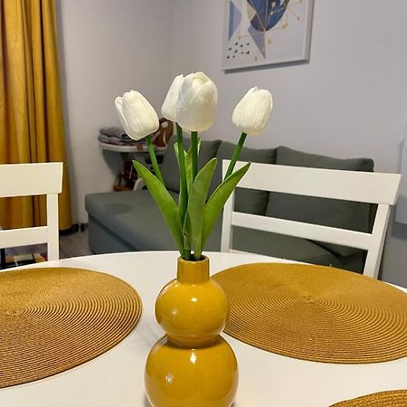 Apartament Mara Daire Băile Felix Dış mekan fotoğraf